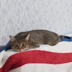 Ильмир